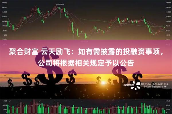 聚合财富 云天励飞：如有需披露的投融资事项，公司将根据相关规定予以公告