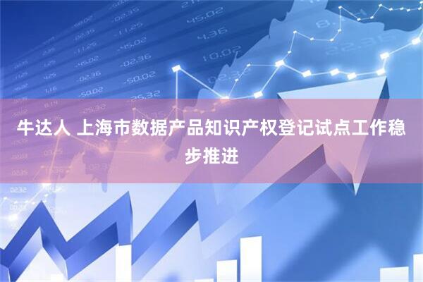 牛达人 上海市数据产品知识产权登记试点工作稳步推进