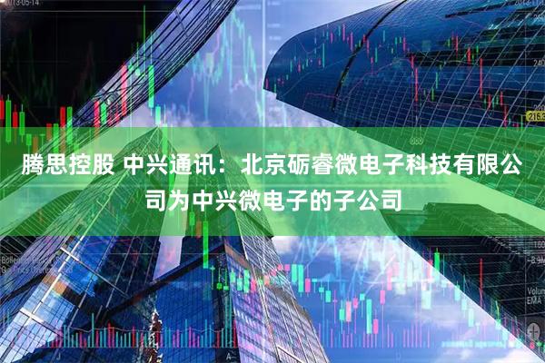 腾思控股 中兴通讯：北京砺睿微电子科技有限公司为中兴微电子的子公司