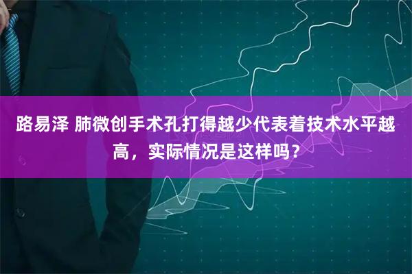 路易泽 肺微创手术孔打得越少代表着技术水平越高，实际情况是这样吗？